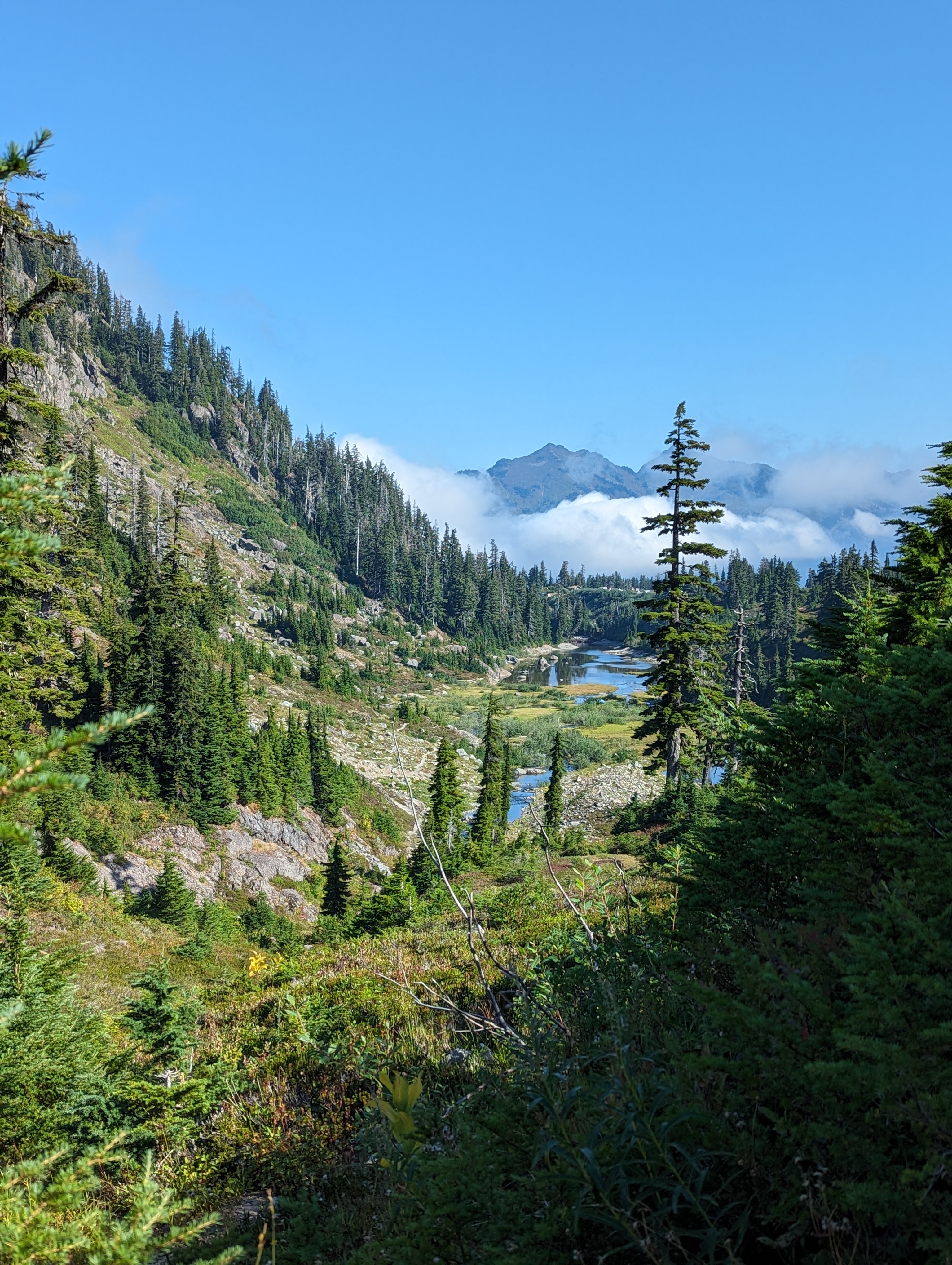 Washington State 2025 10